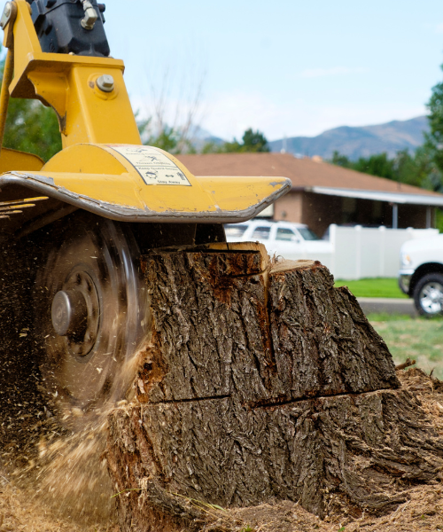 A tree stump being cut down by a machine